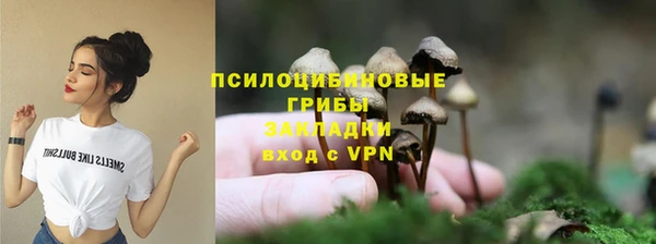 герыч Арсеньев