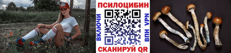 Галлюциногенные грибы GOLDEN TEACHER  Сурск 