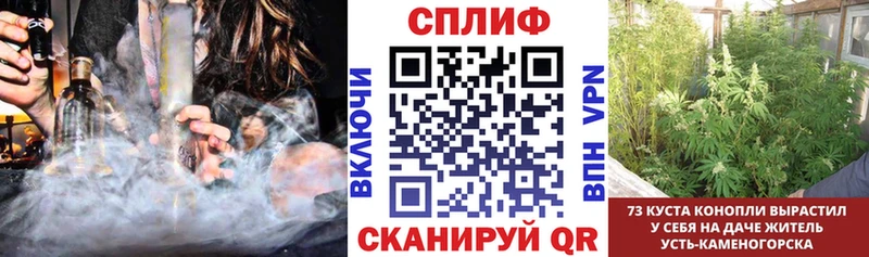 блэк спрут рабочий сайт Сурск Шишки марихуана THC 21%